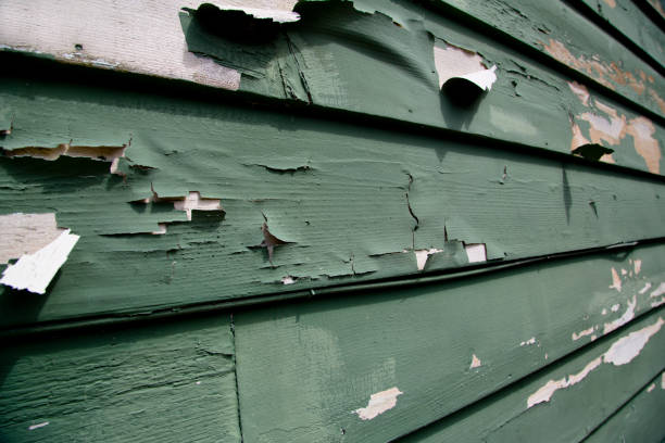 Best Recycling Services for Junk  in Woodville, MS
