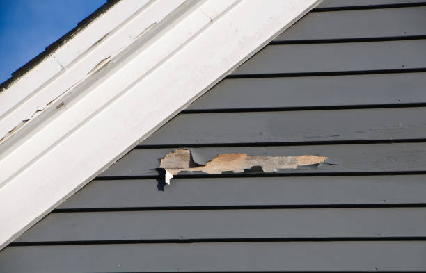 Best Hoarding Cleanup  in Woodville, MS